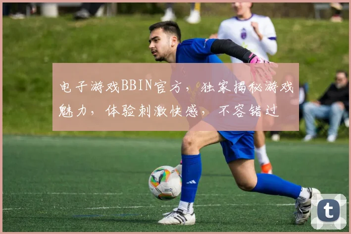 电子游戏BBIN官方，独家揭秘游戏魅力，体验刺激快感，不容错过